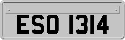 ESO1314