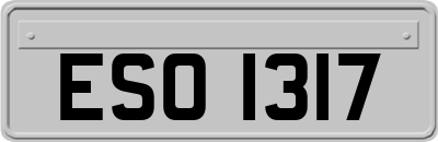 ESO1317