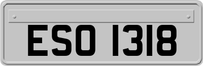 ESO1318