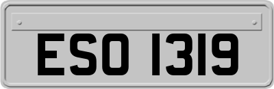 ESO1319