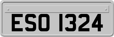 ESO1324