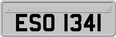 ESO1341