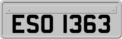 ESO1363