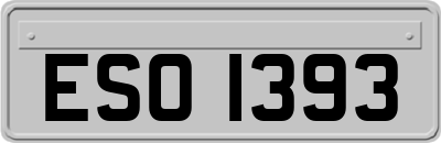 ESO1393