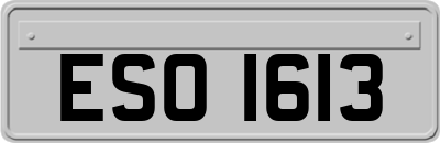 ESO1613