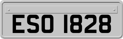 ESO1828