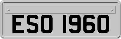 ESO1960
