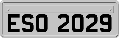 ESO2029