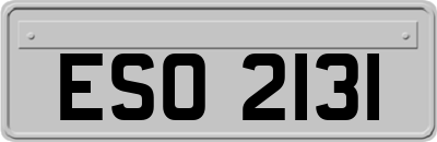 ESO2131