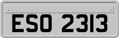 ESO2313