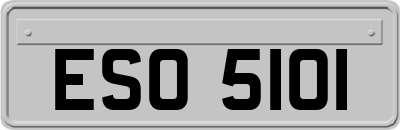 ESO5101