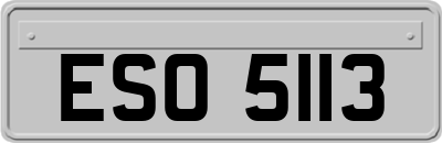 ESO5113