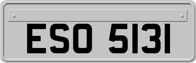 ESO5131