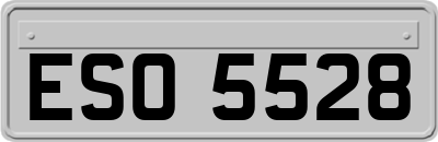 ESO5528