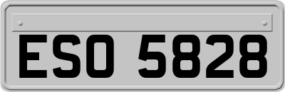 ESO5828