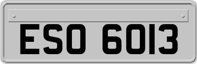 ESO6013