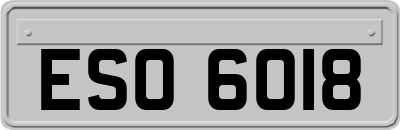 ESO6018