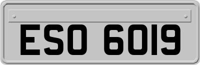 ESO6019