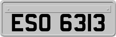 ESO6313