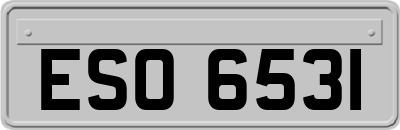 ESO6531