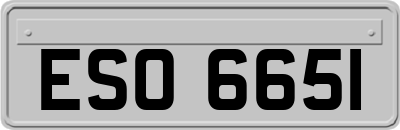 ESO6651