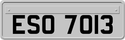 ESO7013
