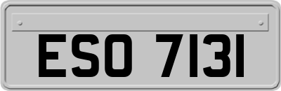 ESO7131