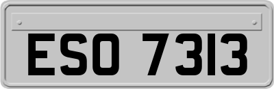 ESO7313