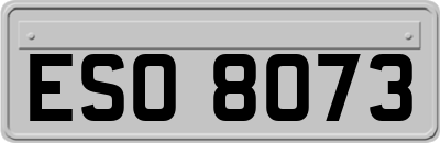 ESO8073