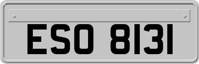 ESO8131