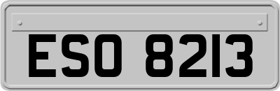 ESO8213