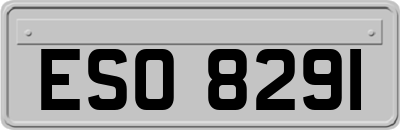 ESO8291
