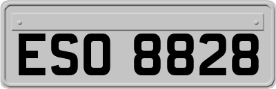 ESO8828