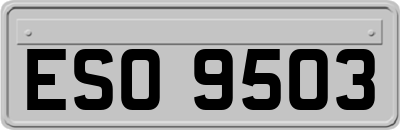 ESO9503