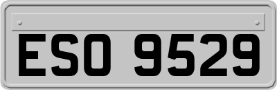 ESO9529