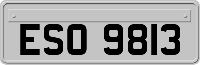 ESO9813