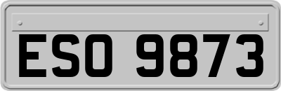 ESO9873