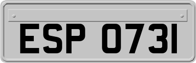 ESP0731