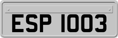 ESP1003