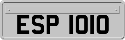 ESP1010