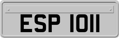 ESP1011