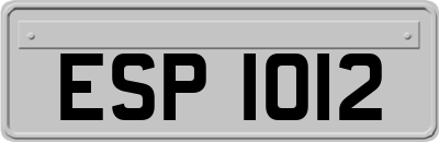 ESP1012