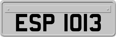 ESP1013