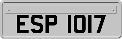 ESP1017