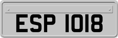 ESP1018