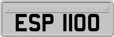 ESP1100