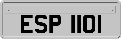 ESP1101