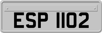 ESP1102