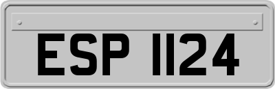 ESP1124