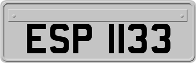 ESP1133